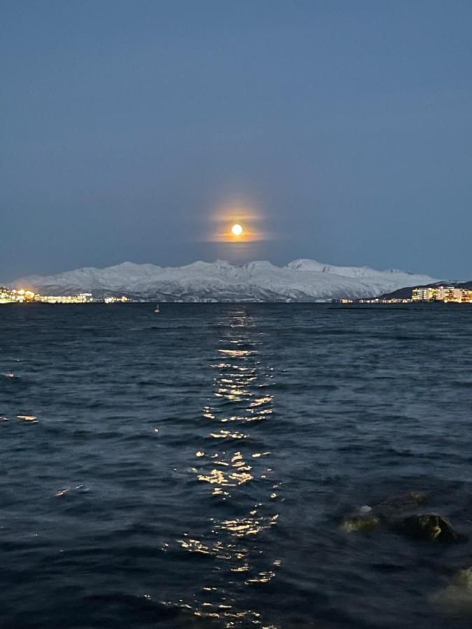 Appartment Close To The City, Ocean And Mountains -Tromsø Exteriör bild